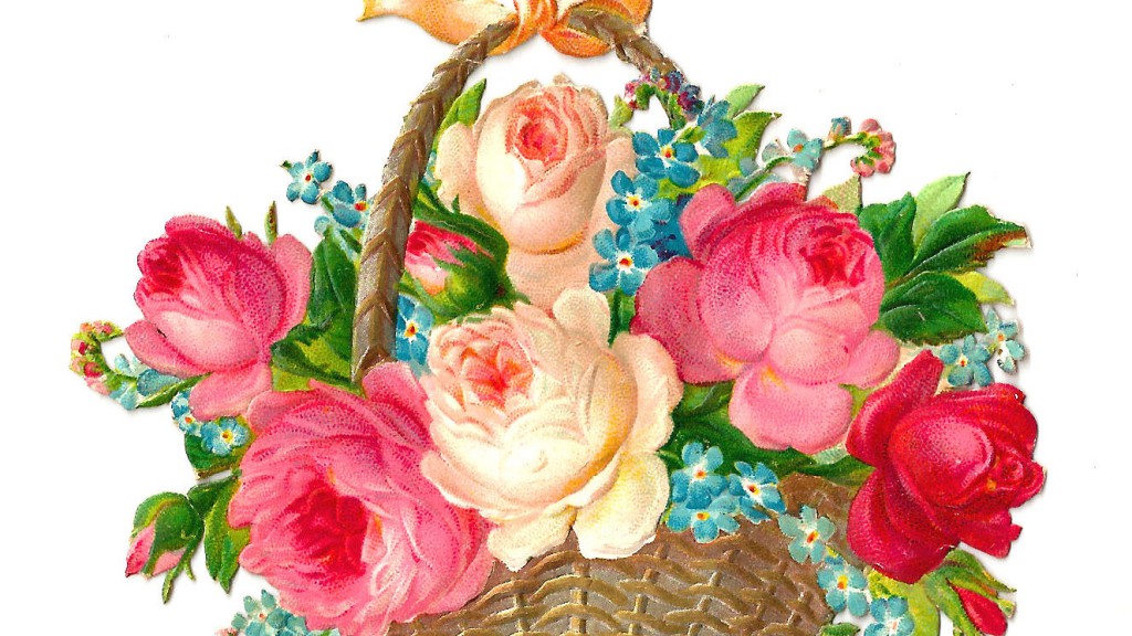 song-voi-thanh-kinh (12)