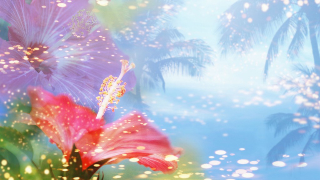 song-voi-thanh-kinh (13)
