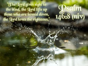 Psalm-146-8