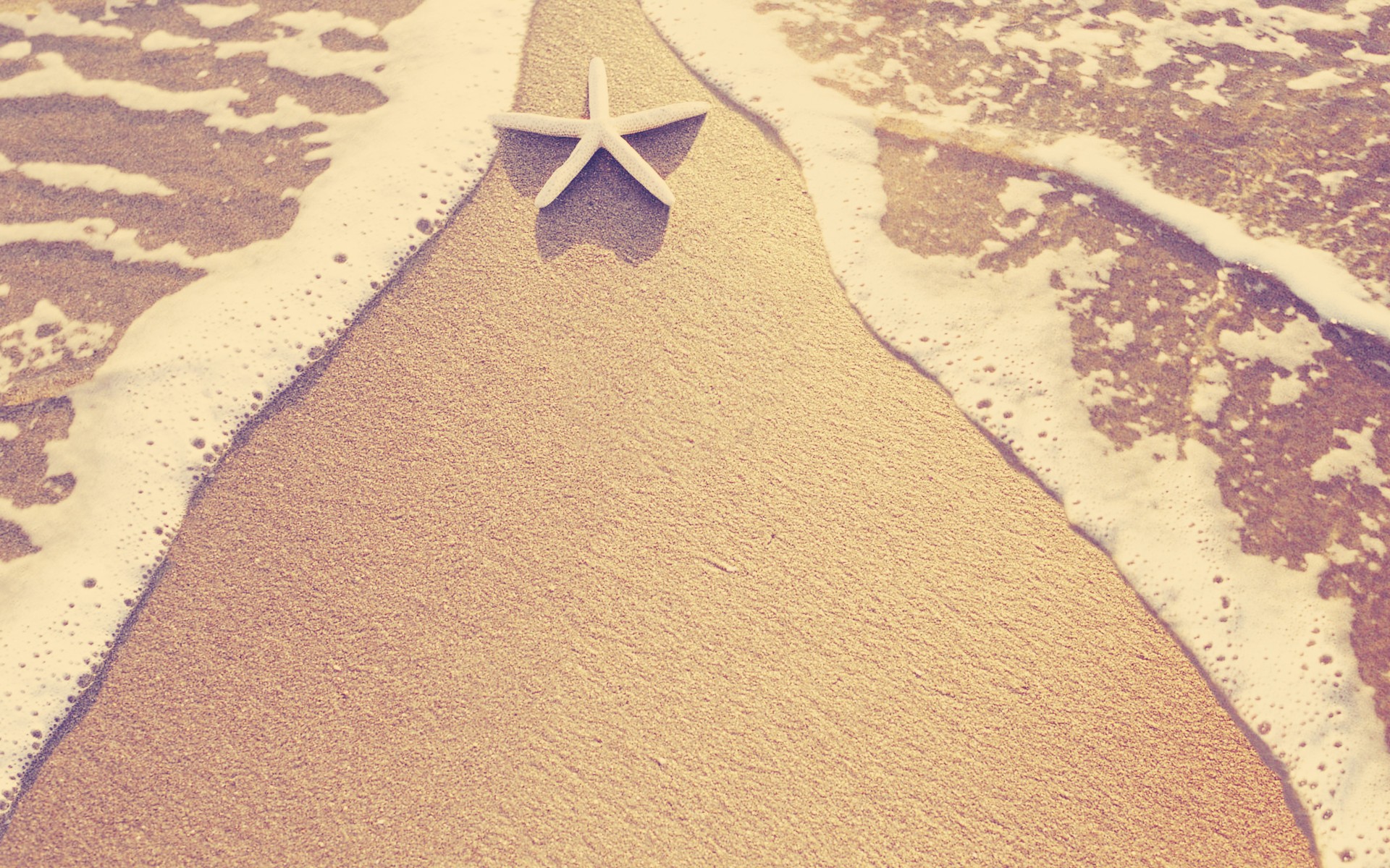 Sea_Star