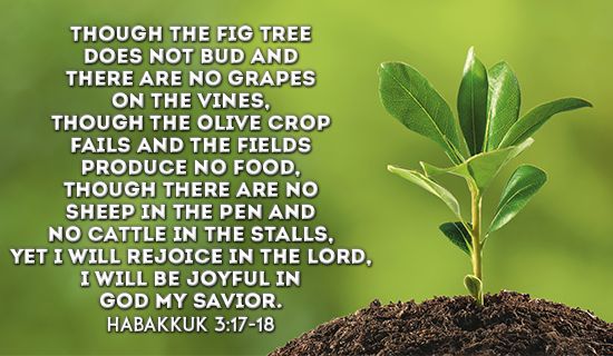 Habakkuk 3.17-18